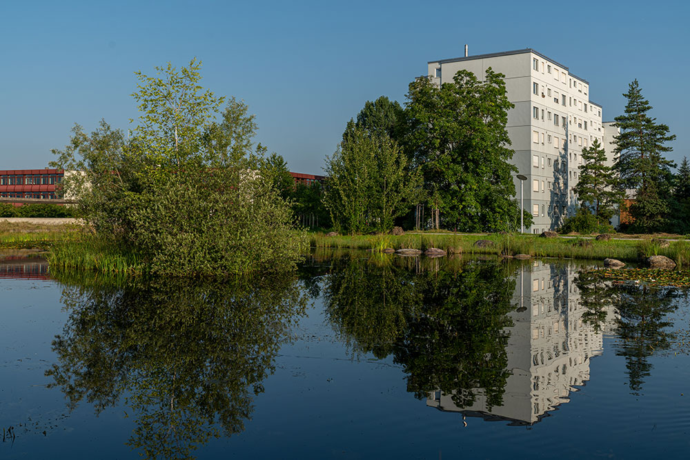 Schulhaus Lindenbühl und Bakisa Weiher