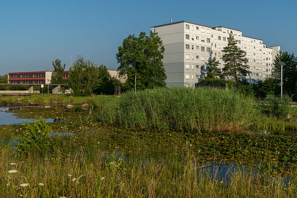 Schulhaus Lindenbühl und Bakisa Weiher