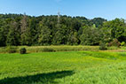 Embrach-012