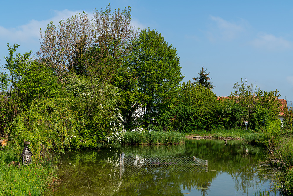 Weiher