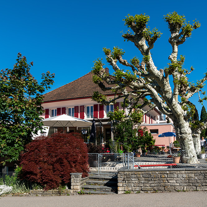 Restaurant Storchen in Menziken