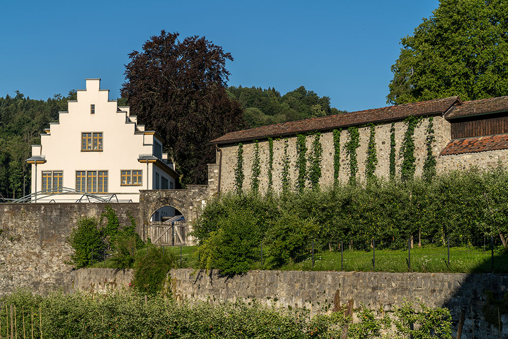 Kloster in Wettingen