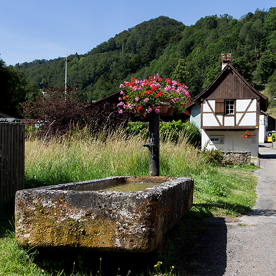 Musée à Asuel