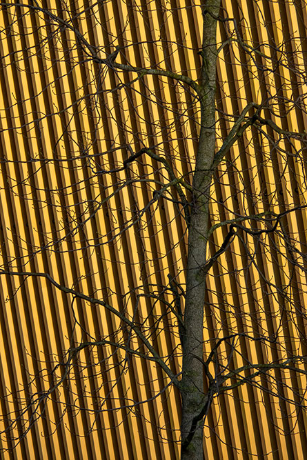 Swissporarena abstrakt