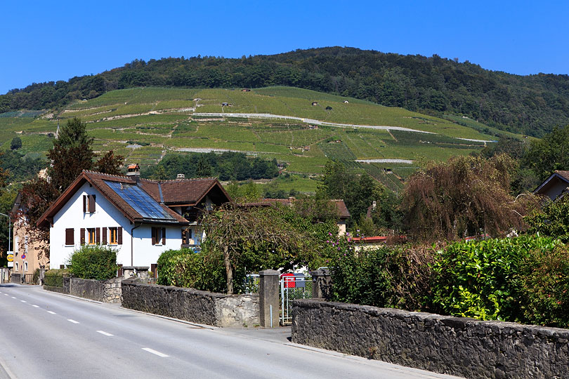 Route de l'Allex