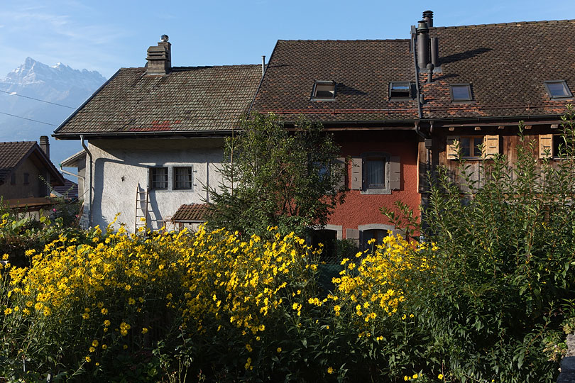 Rue de l'Industrie d'Ollon