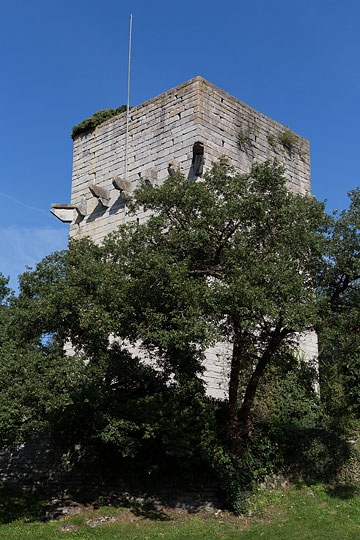 La Tour de St.-Triphon