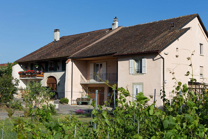 Rue du Borgeaud à Gland