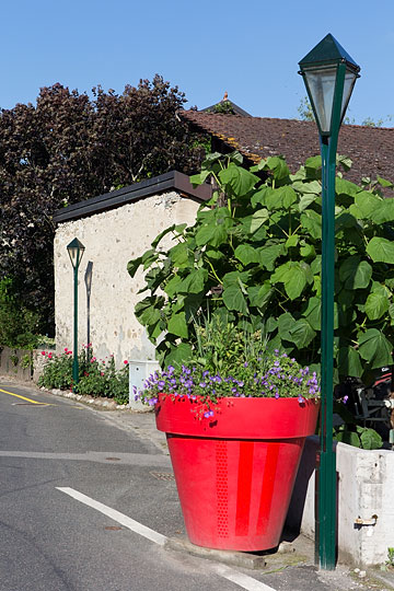 Rue du Borgeaud à Gland