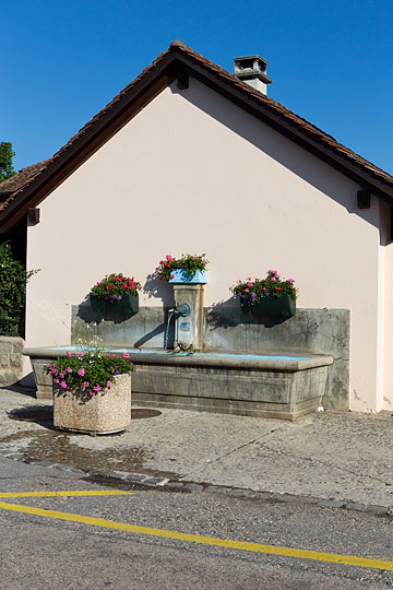 Rue du Borgeaud à Gland