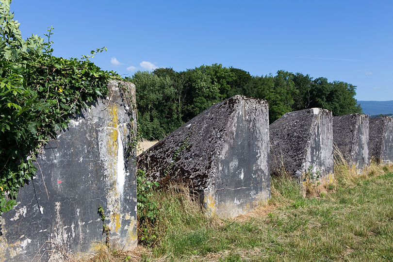 Sentier des Toblerones à Gland