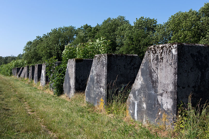 Sentier des Toblerones à Gland