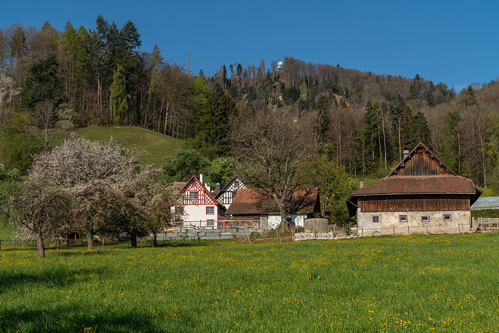 Langnau am Albis