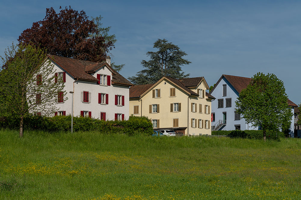 Rüti