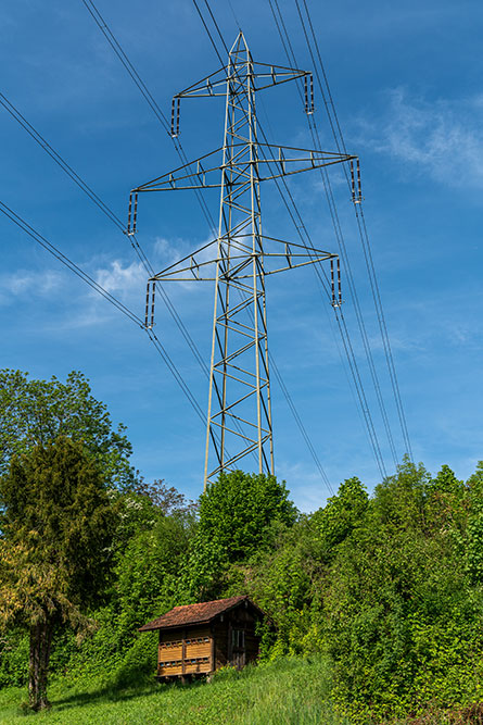 Bienenhaus und Strommast