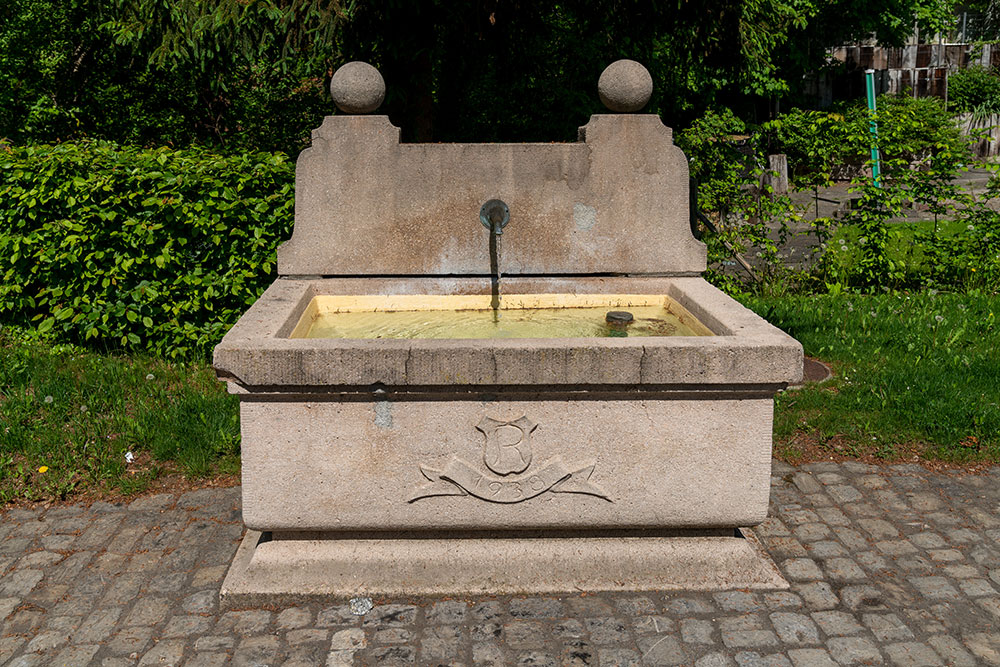 Brunnen in Rüti