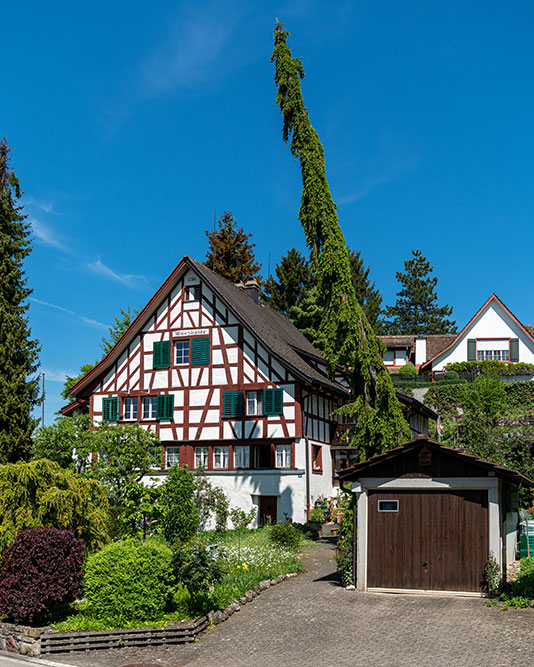 Würzhalde in Rüti