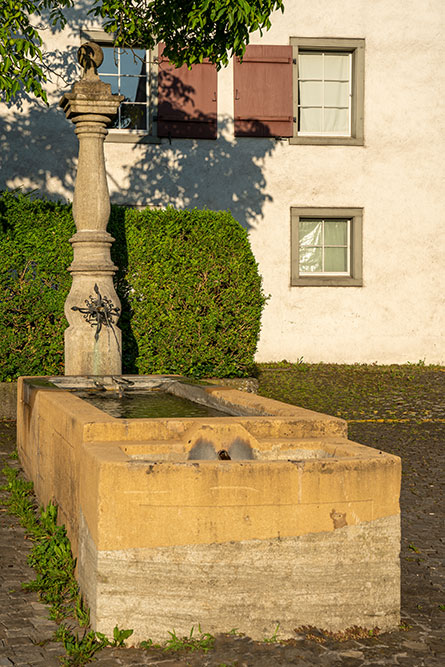 Brunnen