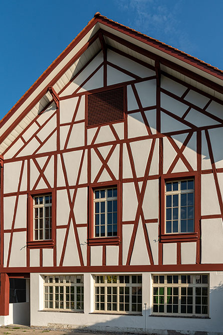 Albisrieden