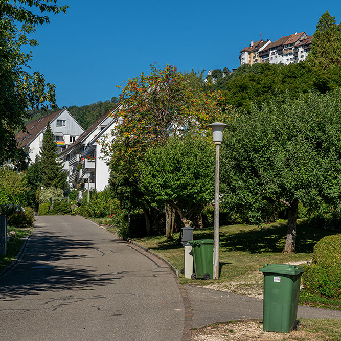 Dielsdorf