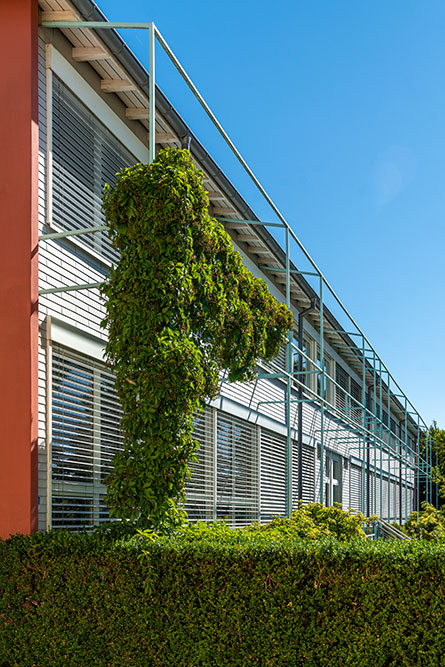 Sekundarschule Dielsdorf