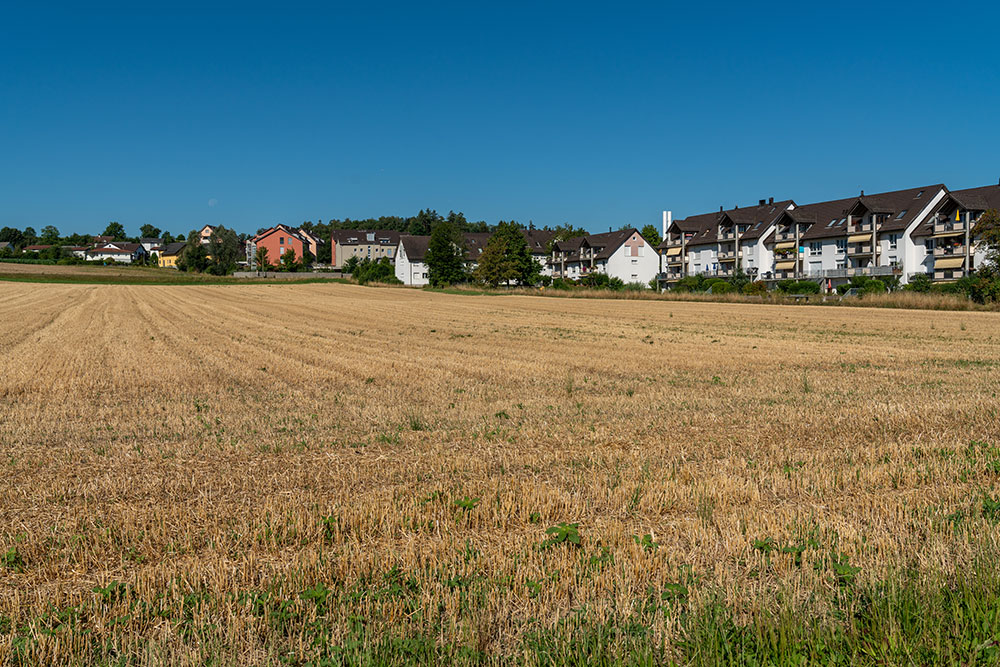 Ackerfeld