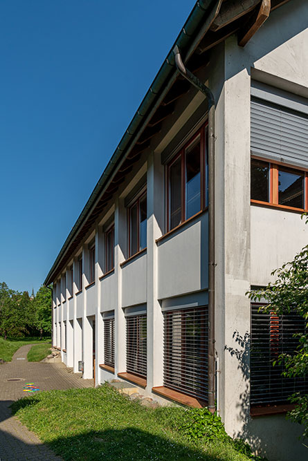 Schule Mammutwis