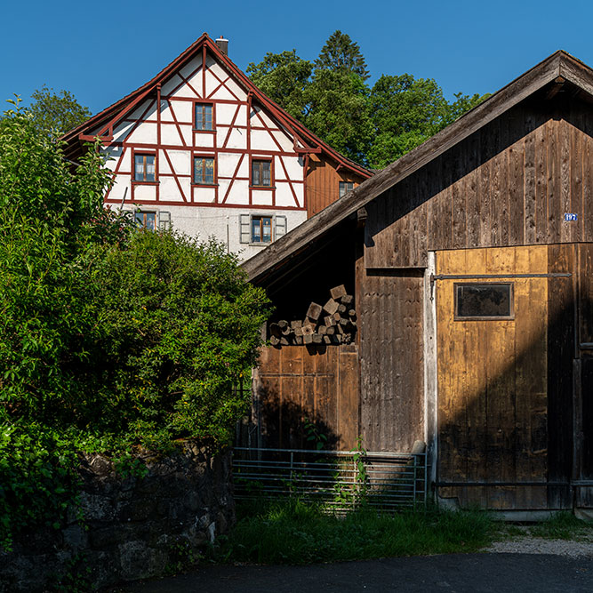 Niederweningen