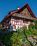 Dielsdorf-026