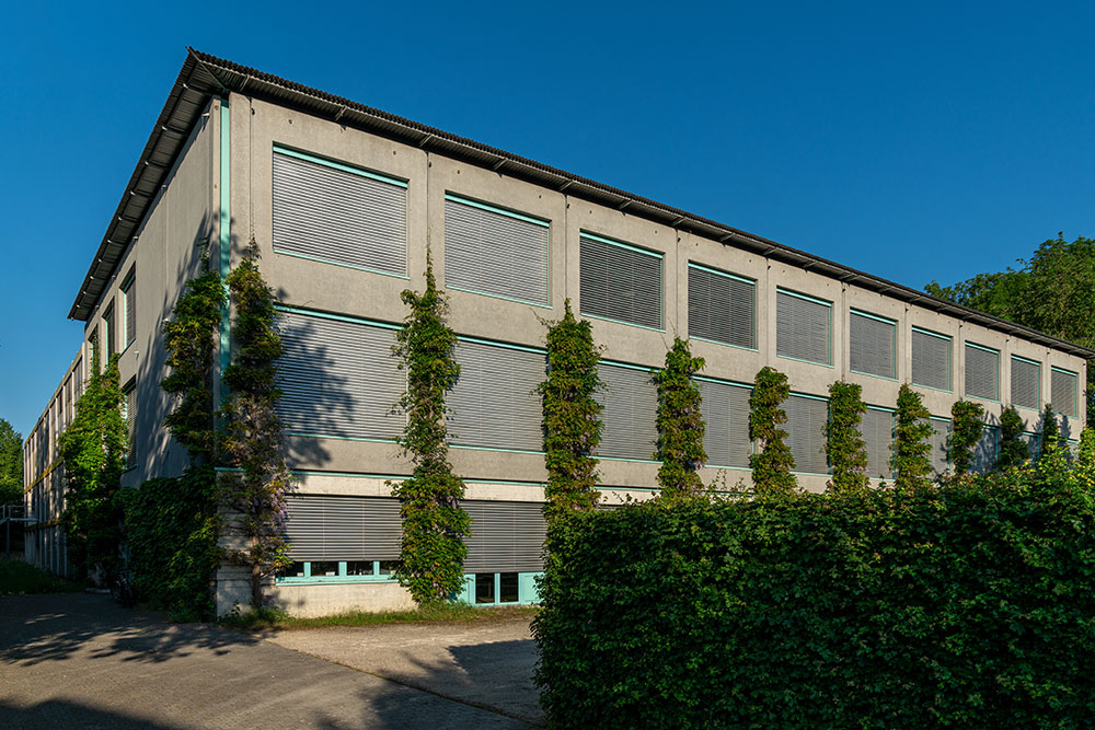 Oberstufenschulhaus Risi