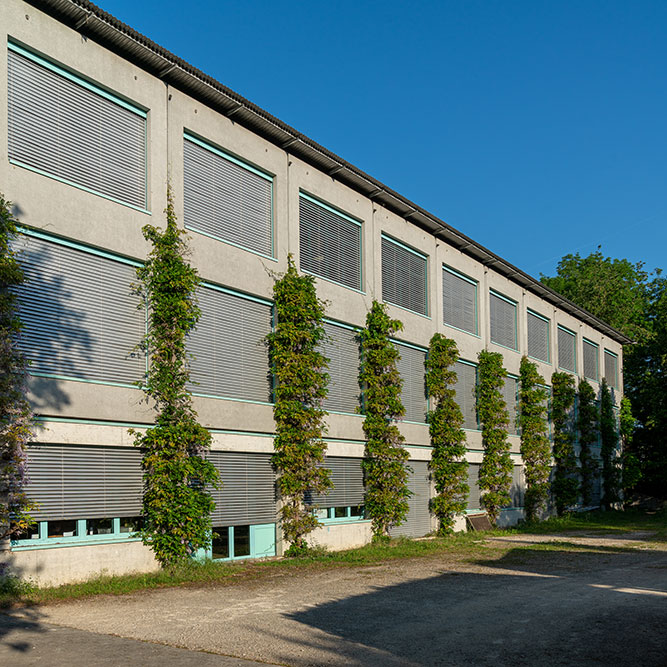 Oberstufenschulhaus Risi