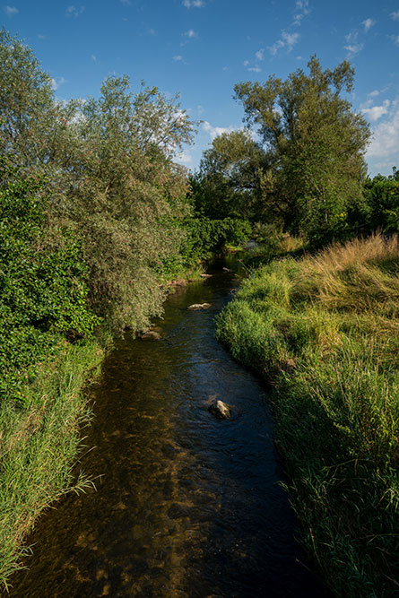 Bünz