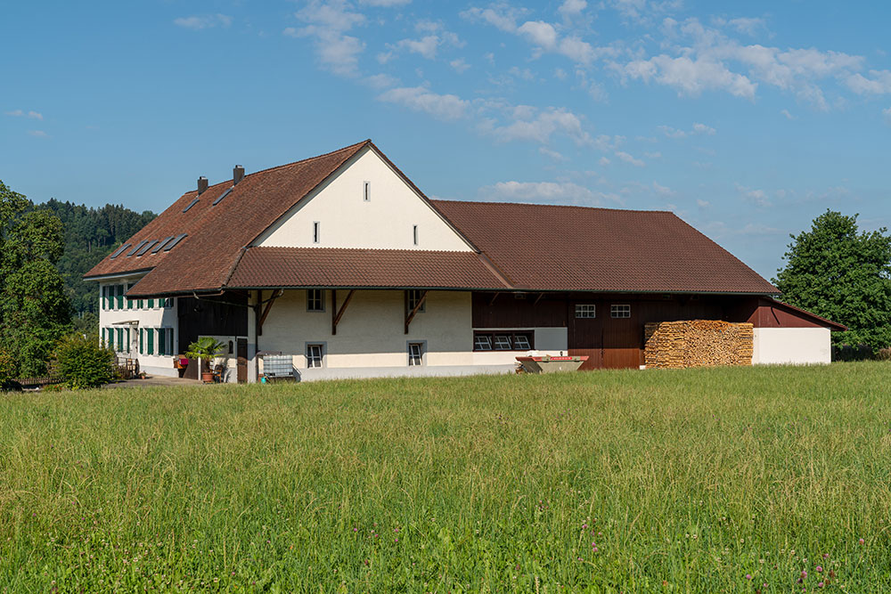 Armenhaus Hendschiken