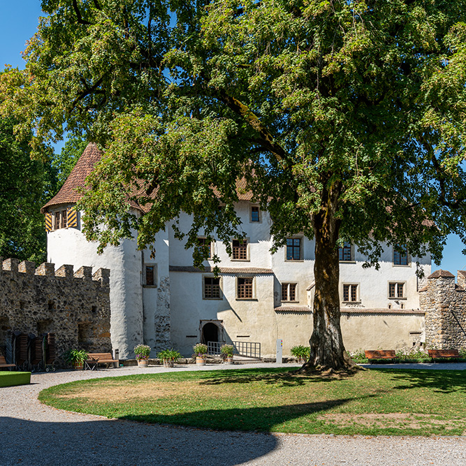 Schloss Hallwil