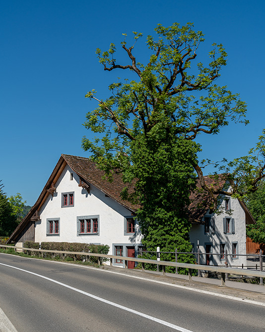 Mühle beim Schloss Hallwil