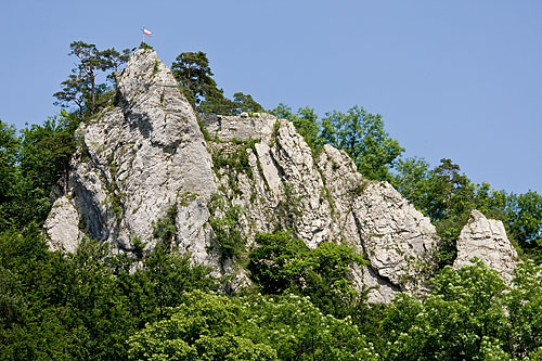 Ruine Rifenberg