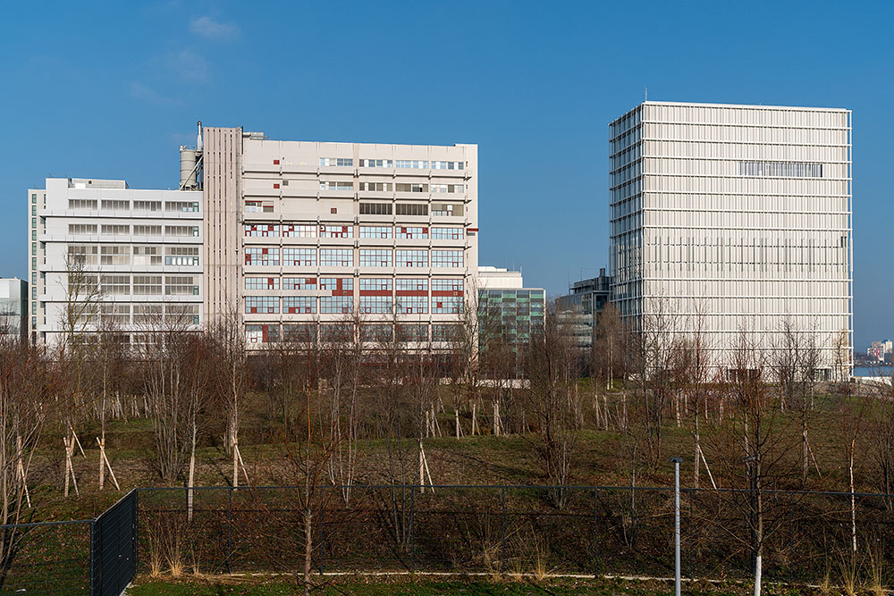 Novartis Campus