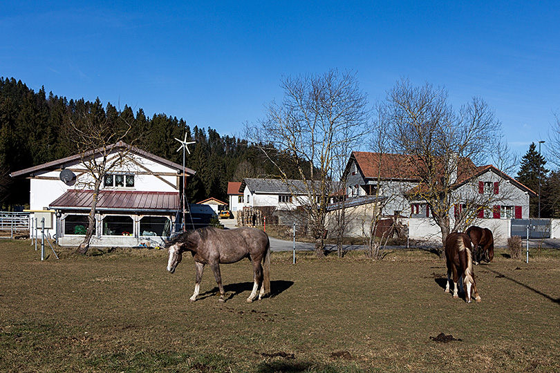 Les Emibois