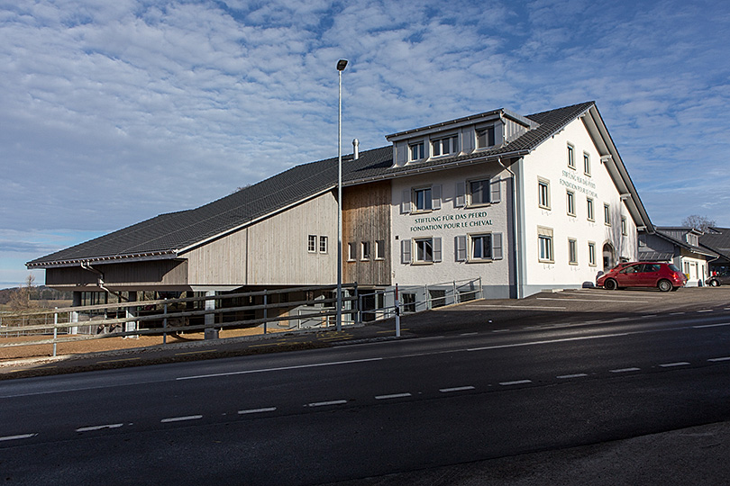 Fondation pour le cheval, Le Roselet