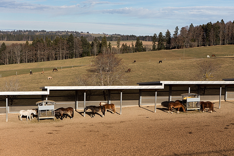 Fondation pour le cheval, Le Roselet