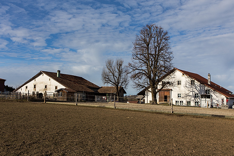 Le Roselet