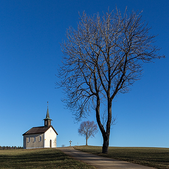 Chapelle Notre-Dame de Lourdes, La Bosse