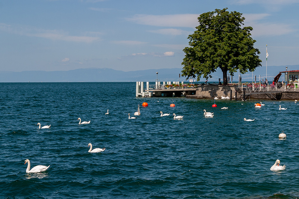 Vevey