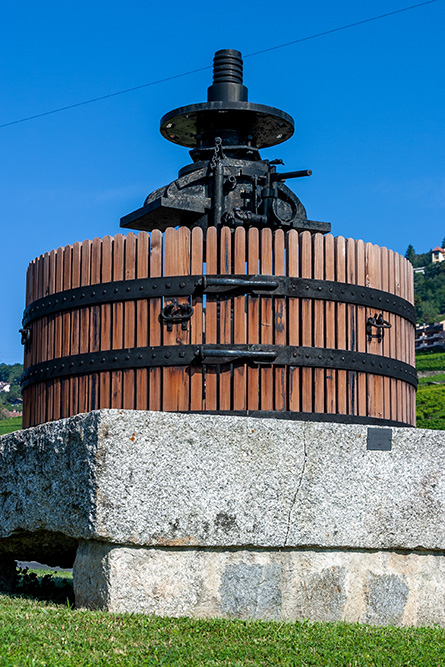 Pressoir à vin