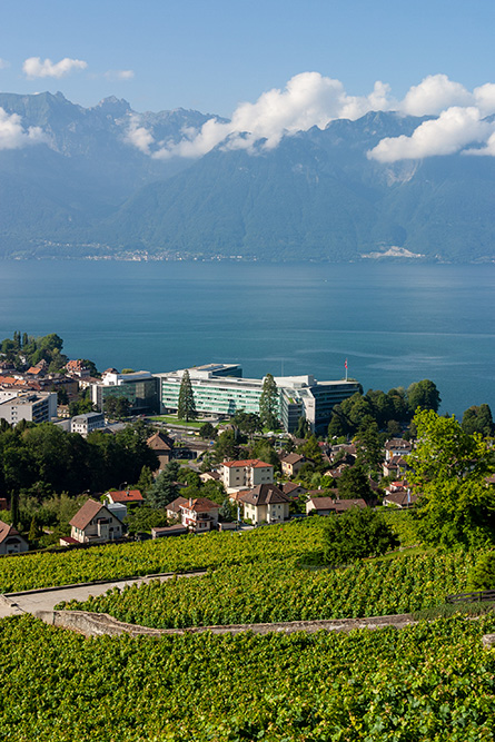 Nestlé S.A. et Lac Léman