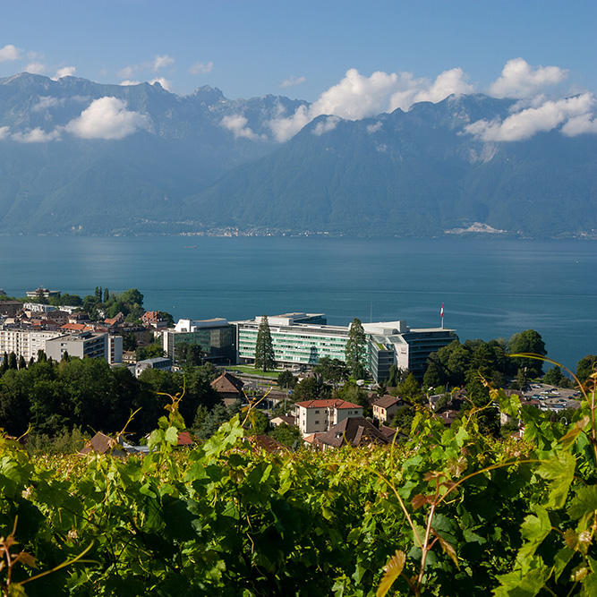 Nestlé S.A. et Lac Léman