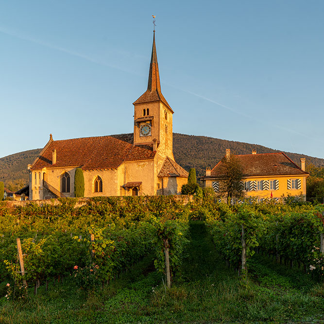 Eglise à Concise