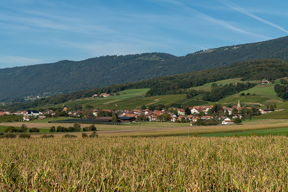 Bonvillars