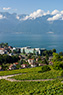 04-VD-Vevey-029