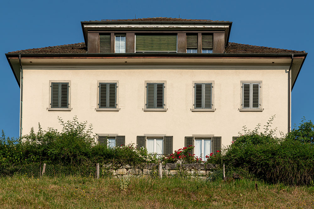 Weinberg Bürgli